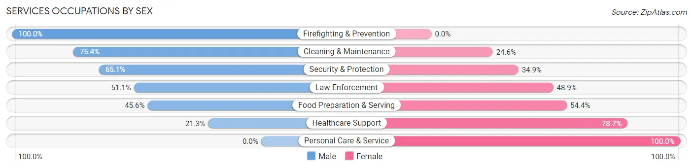 Services Occupations by Sex in Zip Code 65542