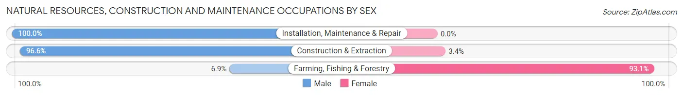 Natural Resources, Construction and Maintenance Occupations by Sex in Zip Code 65560