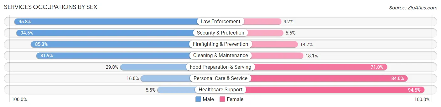 Services Occupations by Sex in Zip Code 65560