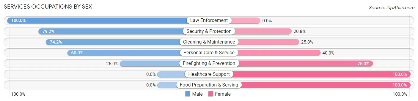 Services Occupations by Sex in Zip Code 65565