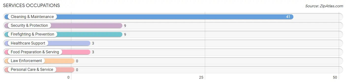 Services Occupations in Zip Code 65570