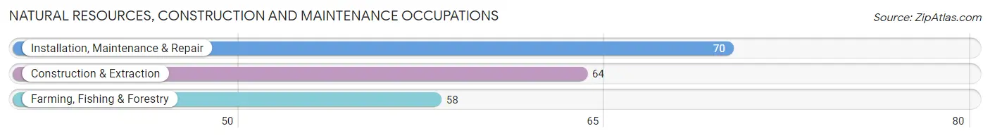 Natural Resources, Construction and Maintenance Occupations in Zip Code 65588