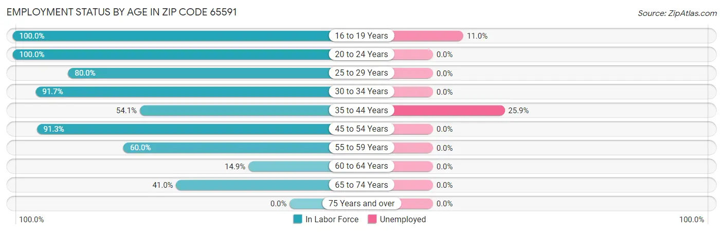 Employment Status by Age in Zip Code 65591