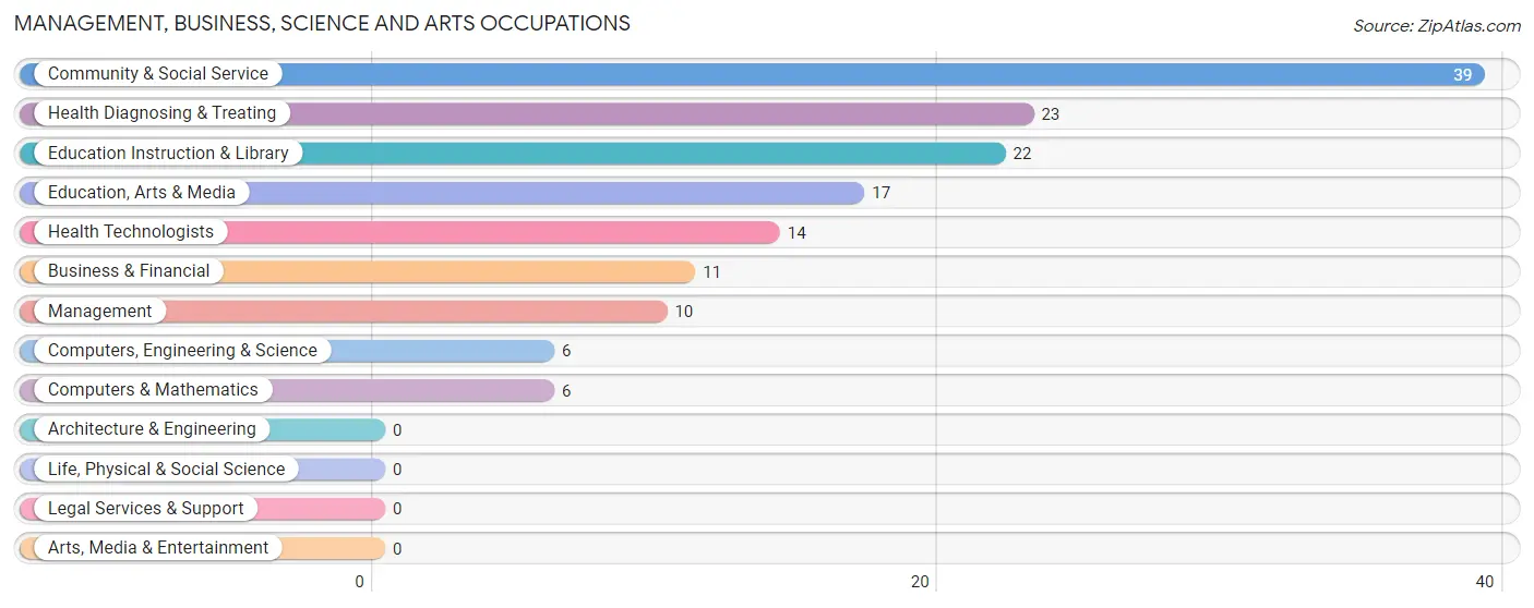 Management, Business, Science and Arts Occupations in Zip Code 65591