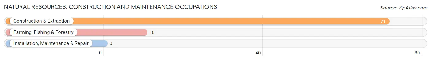 Natural Resources, Construction and Maintenance Occupations in Zip Code 65606