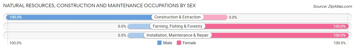 Natural Resources, Construction and Maintenance Occupations by Sex in Zip Code 65609