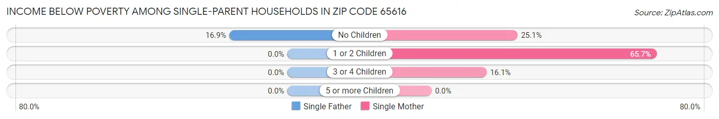 Income Below Poverty Among Single-Parent Households in Zip Code 65616
