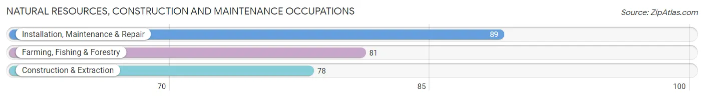 Natural Resources, Construction and Maintenance Occupations in Zip Code 65622