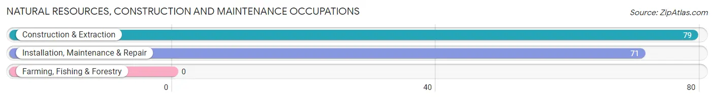 Natural Resources, Construction and Maintenance Occupations in Zip Code 65624