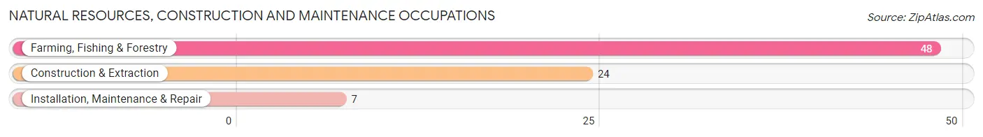 Natural Resources, Construction and Maintenance Occupations in Zip Code 65638