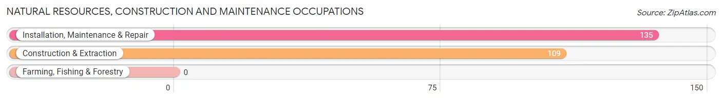 Natural Resources, Construction and Maintenance Occupations in Zip Code 65648