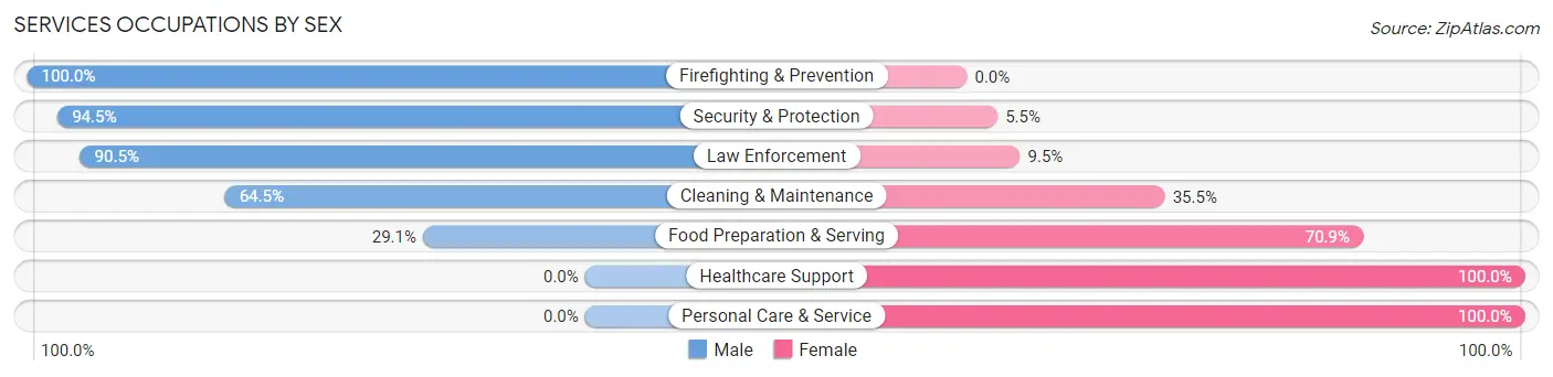 Services Occupations by Sex in Zip Code 65648