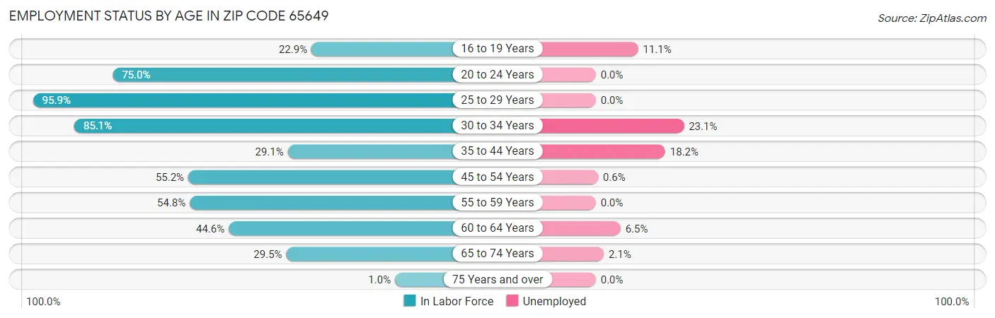 Employment Status by Age in Zip Code 65649