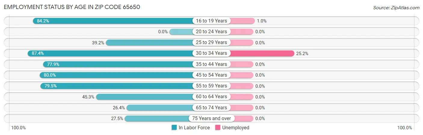 Employment Status by Age in Zip Code 65650