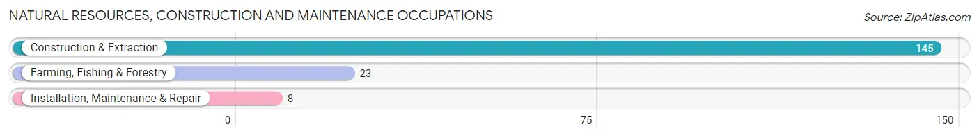 Natural Resources, Construction and Maintenance Occupations in Zip Code 65650