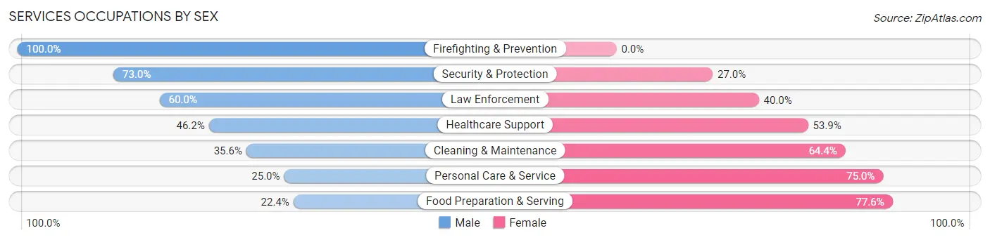 Services Occupations by Sex in Zip Code 65653