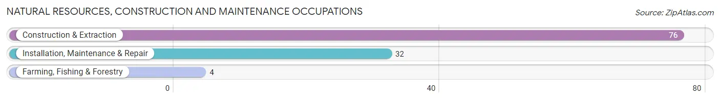 Natural Resources, Construction and Maintenance Occupations in Zip Code 65655