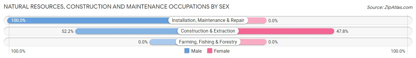 Natural Resources, Construction and Maintenance Occupations by Sex in Zip Code 65680