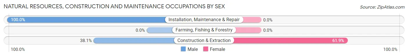 Natural Resources, Construction and Maintenance Occupations by Sex in Zip Code 65681