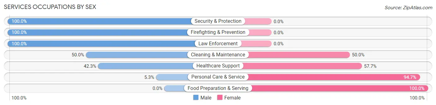 Services Occupations by Sex in Zip Code 65704