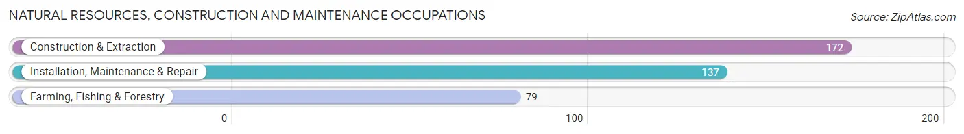 Natural Resources, Construction and Maintenance Occupations in Zip Code 65711