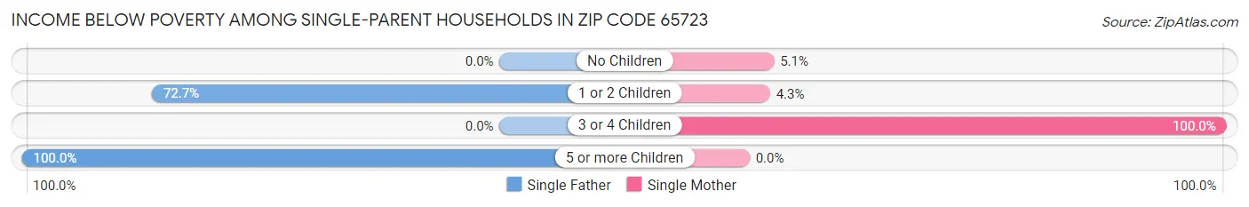 Income Below Poverty Among Single-Parent Households in Zip Code 65723
