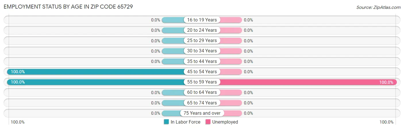 Employment Status by Age in Zip Code 65729