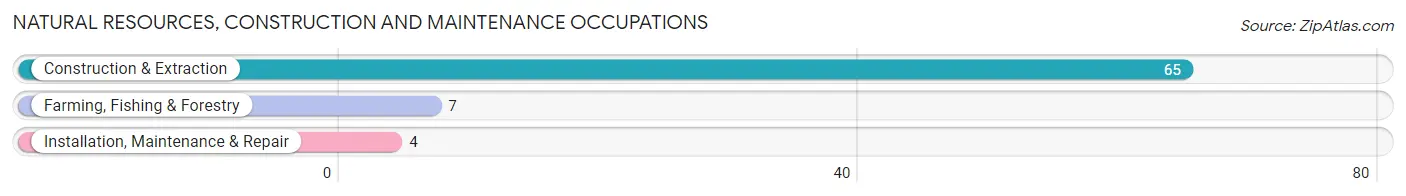 Natural Resources, Construction and Maintenance Occupations in Zip Code 65732