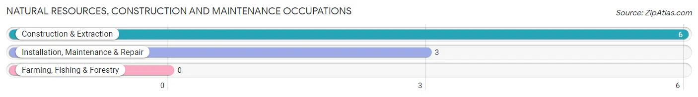 Natural Resources, Construction and Maintenance Occupations in Zip Code 65733