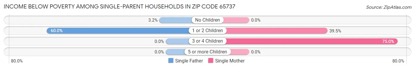 Income Below Poverty Among Single-Parent Households in Zip Code 65737