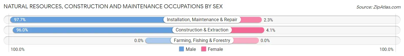 Natural Resources, Construction and Maintenance Occupations by Sex in Zip Code 65742