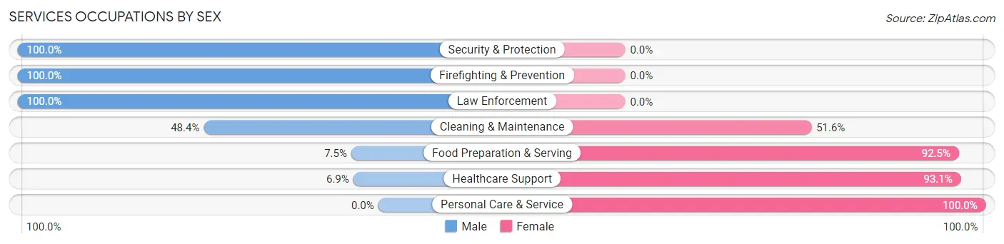 Services Occupations by Sex in Zip Code 65753