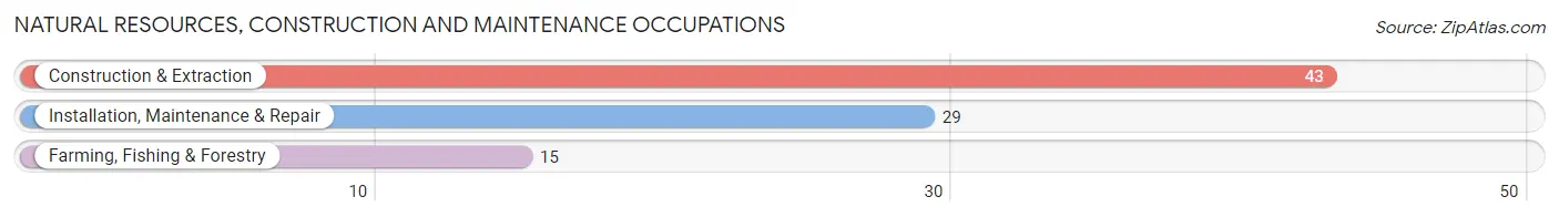 Natural Resources, Construction and Maintenance Occupations in Zip Code 65759