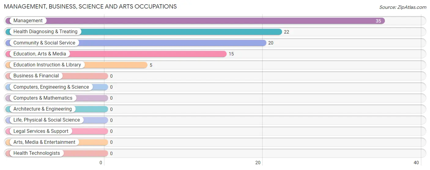 Management, Business, Science and Arts Occupations in Zip Code 65764