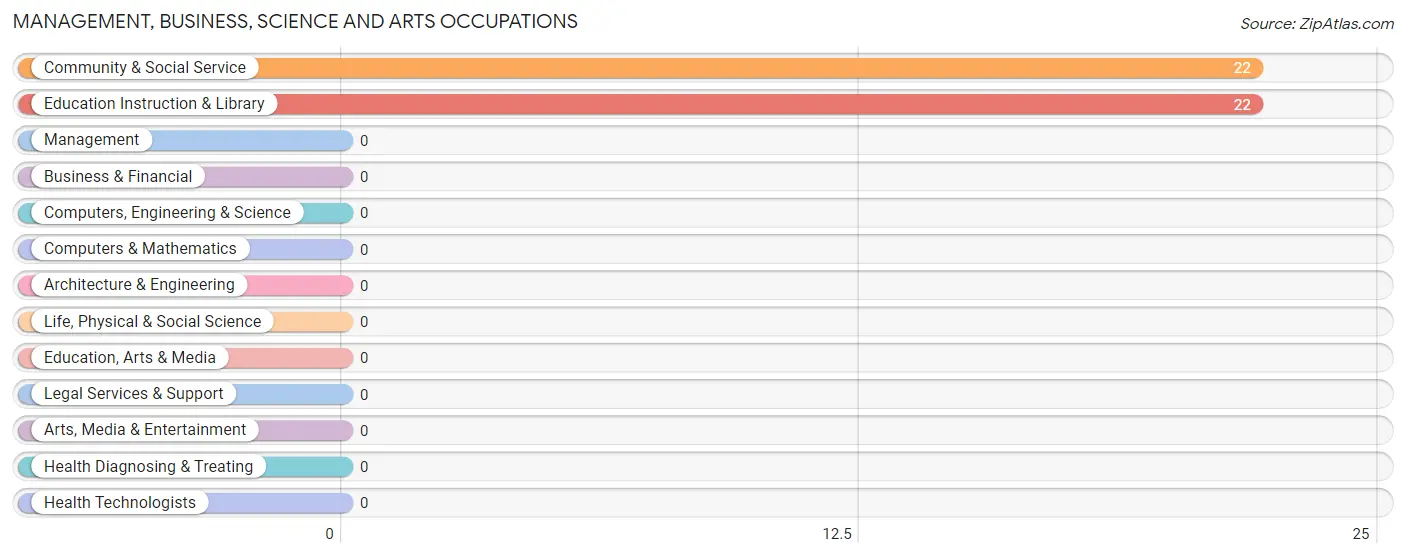 Management, Business, Science and Arts Occupations in Zip Code 65783