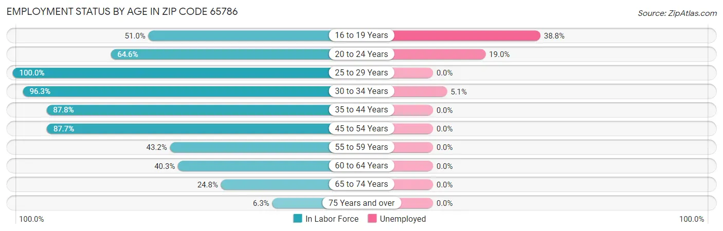 Employment Status by Age in Zip Code 65786