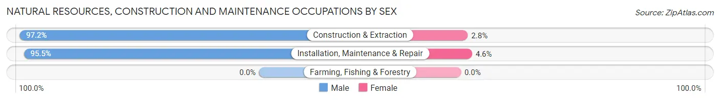 Natural Resources, Construction and Maintenance Occupations by Sex in Zip Code 65802