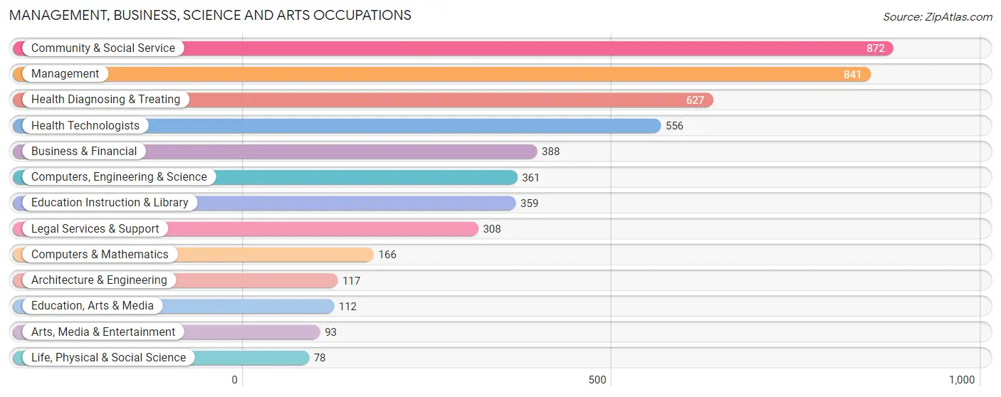 Management, Business, Science and Arts Occupations in Zip Code 65809