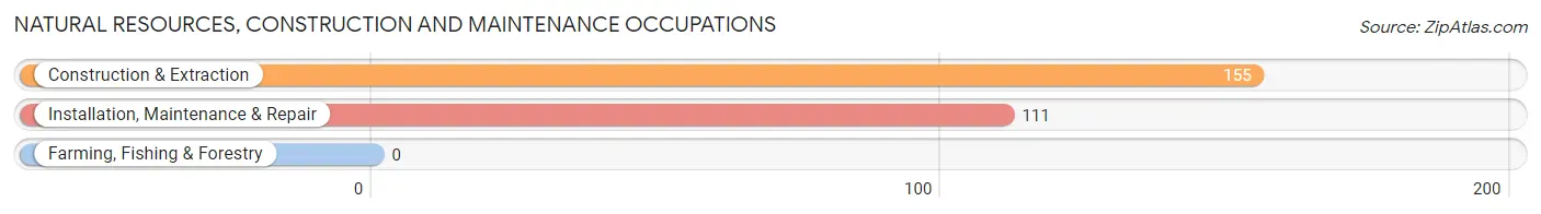 Natural Resources, Construction and Maintenance Occupations in Zip Code 65809