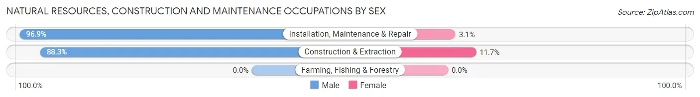 Natural Resources, Construction and Maintenance Occupations by Sex in Zip Code 65810