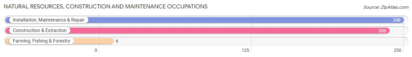 Natural Resources, Construction and Maintenance Occupations in Zip Code 66007