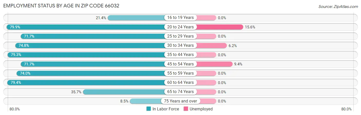 Employment Status by Age in Zip Code 66032