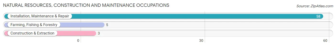 Natural Resources, Construction and Maintenance Occupations in Zip Code 66035