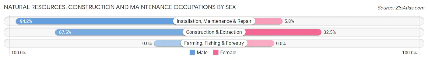 Natural Resources, Construction and Maintenance Occupations by Sex in Zip Code 66050