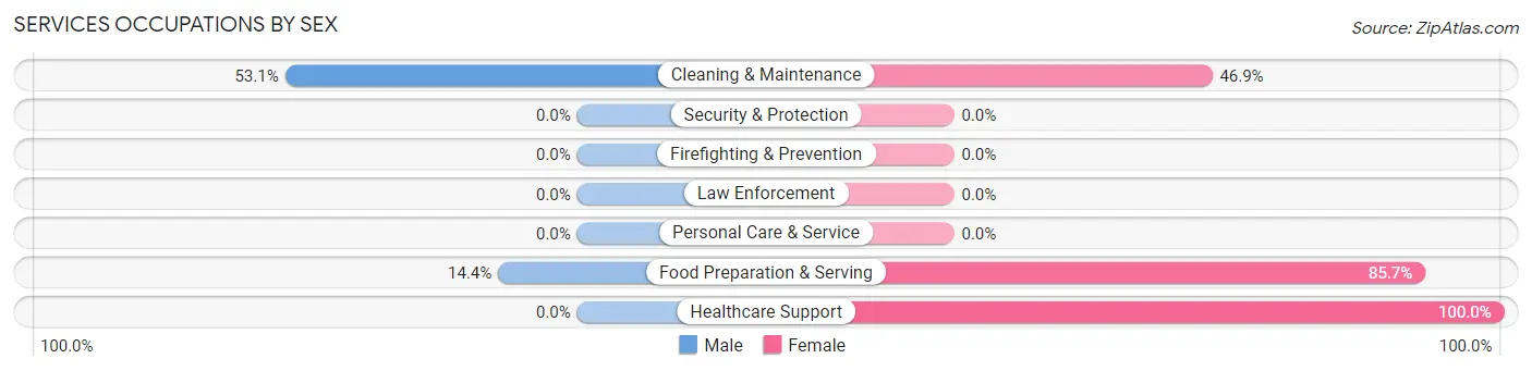 Services Occupations by Sex in Zip Code 66105
