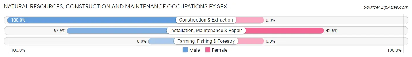 Natural Resources, Construction and Maintenance Occupations by Sex in Zip Code 66214