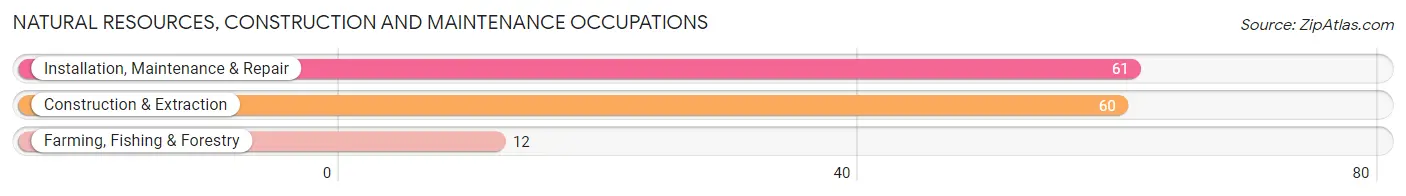 Natural Resources, Construction and Maintenance Occupations in Zip Code 66221