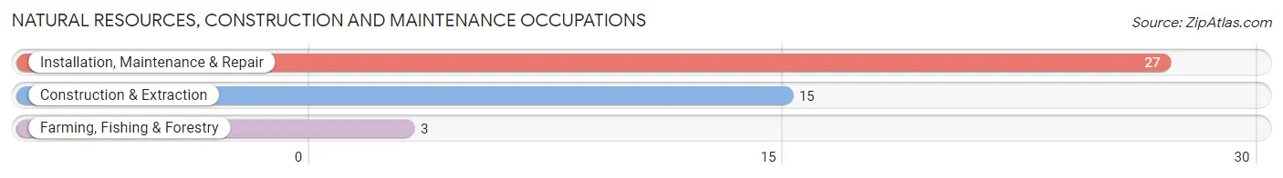 Natural Resources, Construction and Maintenance Occupations in Zip Code 66411