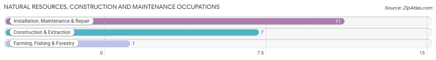 Natural Resources, Construction and Maintenance Occupations in Zip Code 66417