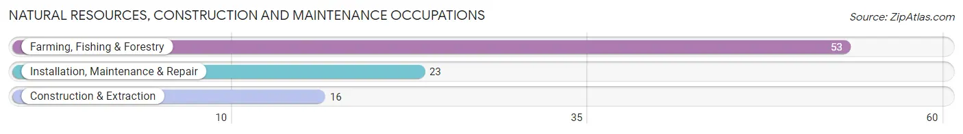 Natural Resources, Construction and Maintenance Occupations in Zip Code 66449